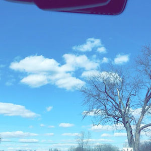 Meet your Posher, Abbie